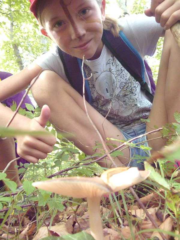 Petits débrouillards en forêt - Colonie de vacances été