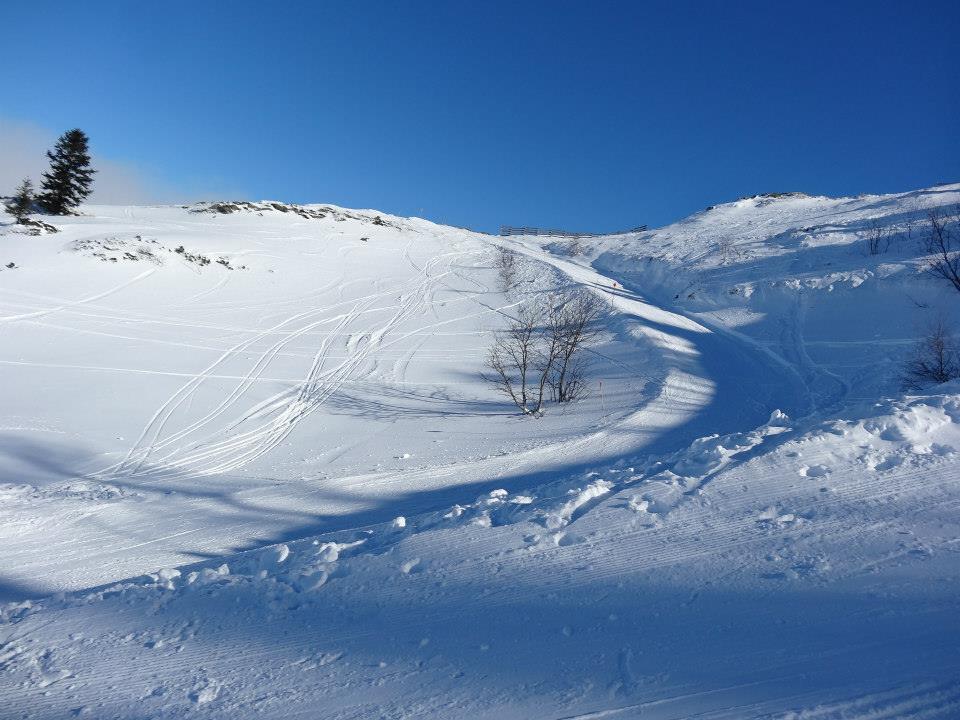 En selle et à ski - Colonie de vacances hiver