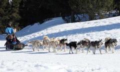 Trappeur  Groulou - Colonie de vacances hiver