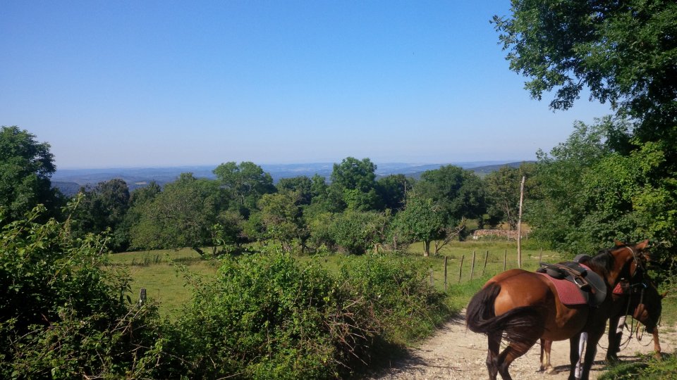 Classe de dcouverte quitation - Equitation en pays Cathare