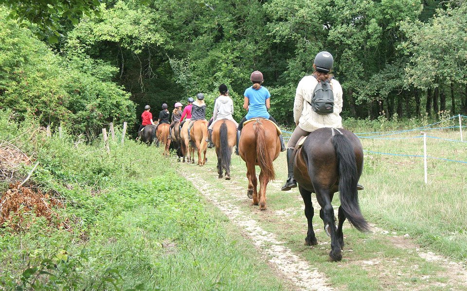 Les poneys voyageurs - Colonie de vacances t