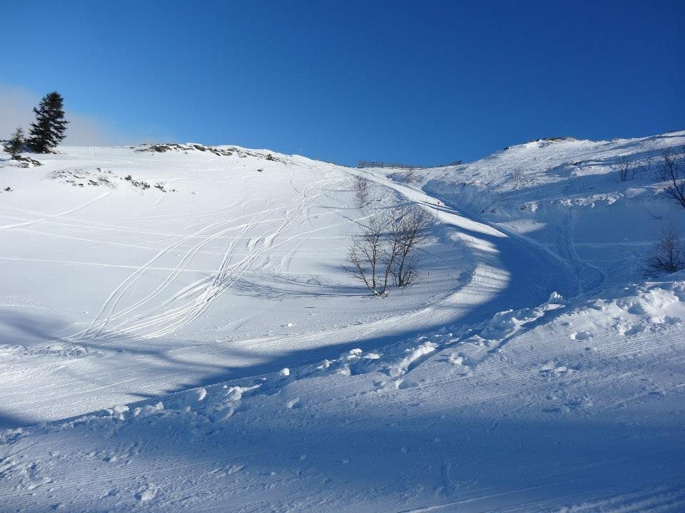 En selle et  ski - Colonie de vacances hiver